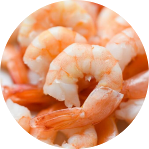 Camarones