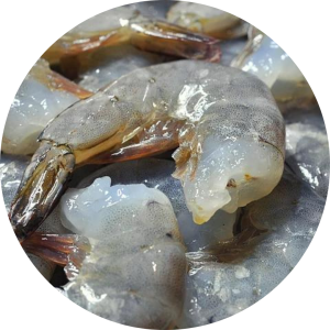 Camarón Crudo con Cáscara