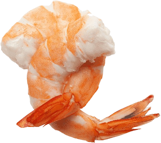 png-clipart-shrimps-shrimps-removebg-preview